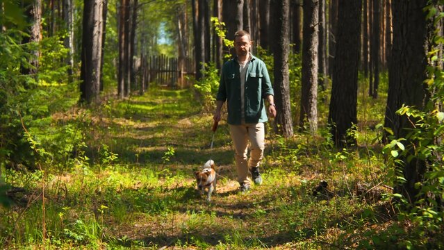 Man walks with dog on sunny summer day. Stock footage. Man walks with dog in green forest on sunny day. Pleasant walk with dog in summer forest
