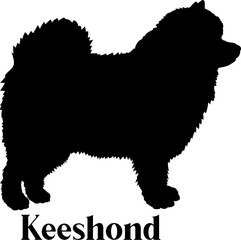 Keeshond Dog silhouette dog breeds logo dog monogram logo dog face vector
SVG PNG EPS