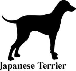 Japanese Terrier Dog silhouette dog breeds logo dog monogram logo dog face vector
SVG PNG EPS