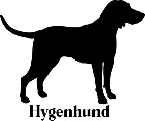 Hygenhund. Dog silhouette dog breeds logo dog monogram logo dog face vector
SVG PNG EPS