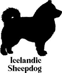 Icelandic Sheepdog Dog silhouette dog breeds logo dog monogram logo dog face vector
SVG PNG EPS