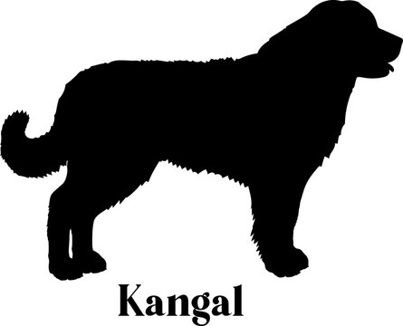 Kangal. Dog silhouette dog breeds logo dog monogram logo dog face vector
SVG PNG EPS
