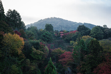 京都清水寺秋の子安の塔