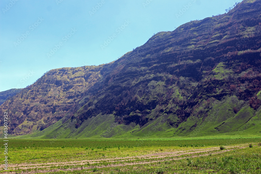 Wall mural jemplang valley, a 382 hectar savanna in the bromo tengger semeru national park area.