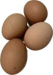 egg isolated on white with shadow, 4 fresh chicken eggs together, eggs isolated image, farm
