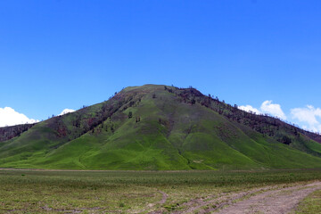 Jemplang Valley, a 382 hectar savanna in the Bromo Tengger Semeru National Park area.