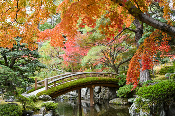 紅葉が美しい日本庭園