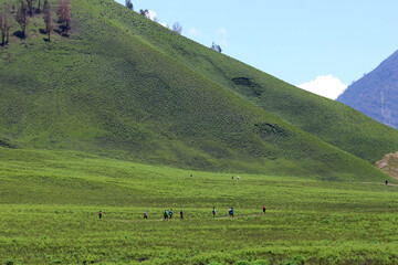 Jemplang Valley, a 382 hectar savanna in the Bromo Tengger Semeru National Park area.
