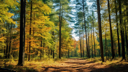 Fototapeta premium Picturesque view of forest with trees on sunny day. AI Generative.