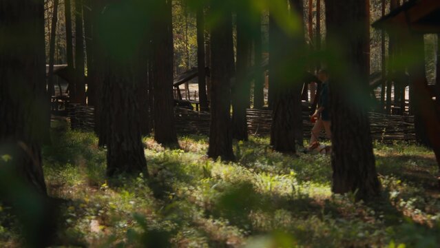 Beautiful view of forest and man walking with dog. Stock footage. Man walks with dog on leash in forest on sunny summer day. Men walking with jack russell terrier in park