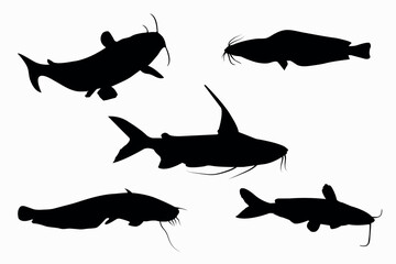 set of catfish vector 