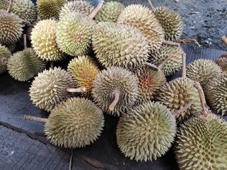 Naklejka na ściany i meble pile of durian
