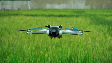 drone flying over rice fields