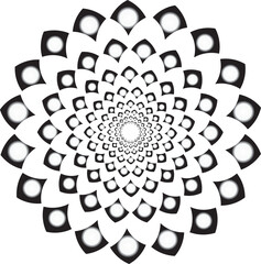 wheels isolated on white