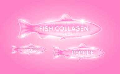Pink fish collagen peptide, tripeptide solution with molecular. Oil omega extracted from nature fish. Vitamins serum bone and skin care. For cosmetic or beauty nutrition. Vector EPS10.