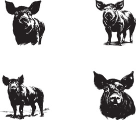 silhouettes pigs Isolated hand drawings farm animals on white background