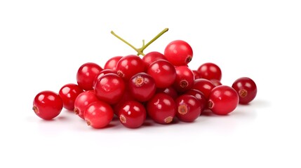 The photo of Cranberry on white background