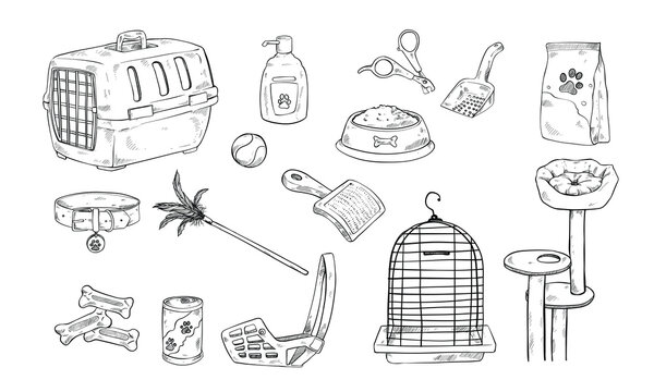 pet accessories handdrawn illustration engraving