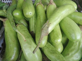 Eggplant vegetables at the traditional market