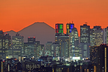 Mt.Fuji and Shinjuku skyscrapers after sunset in Tokyo