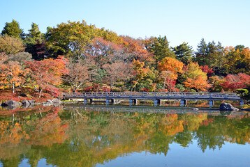 Autumn leaves at Japanese garden in National Showa Memorial Park,Tokyo
