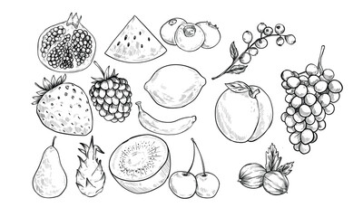fresh fruits handdrawn illustration engraving