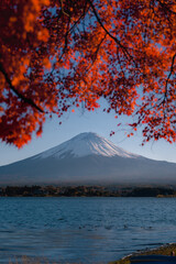 Fuji mountain in Autumn