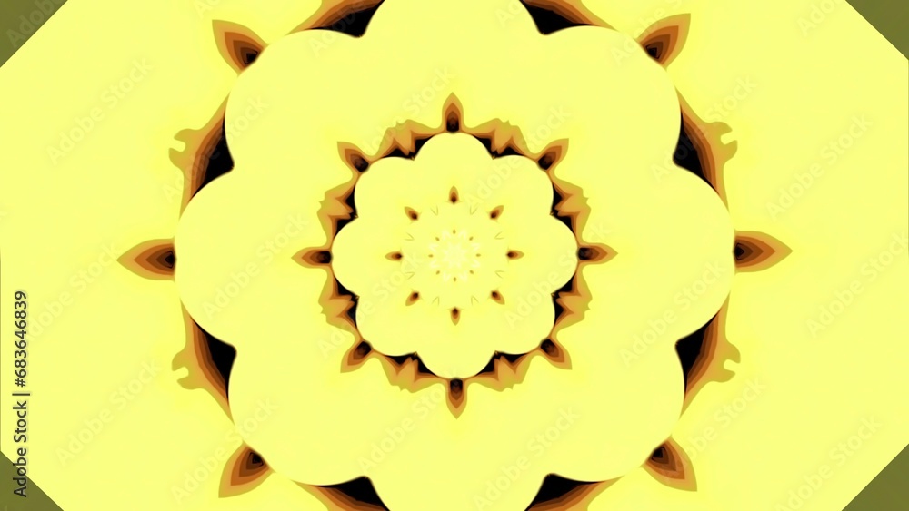 Poster mandala-style pattern with rotating petals. design. beautiful rotating pattern with mirror effect. h