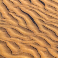 Sand texture dunes desert pattern waves background close up beach tide ripples
