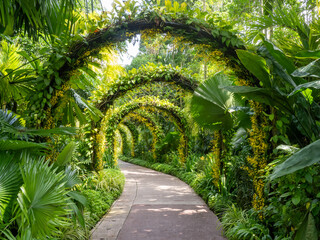 Orchid Arch, Singapore