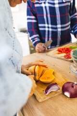 Midsection of diverse senior couple slicing butternut squash, chopping vegetables in kitchen