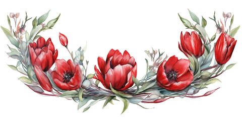 red tulip flower arrangement in watercolor design isolated on transparent background - obrazy, fototapety, plakaty