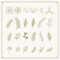 Christmas plants vector illustration drawn with gold lines.