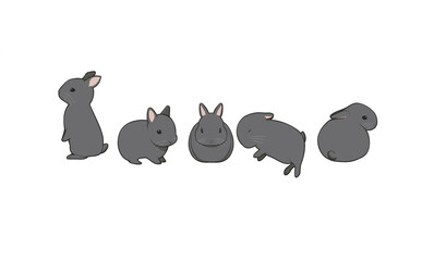 黒うさぎの5種類のポーズセット