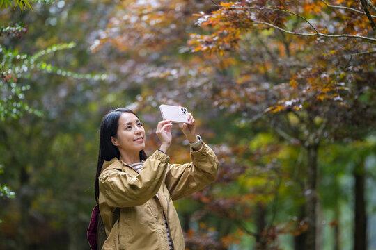 Woman use cellphone to take photo in the forest at autumn fall