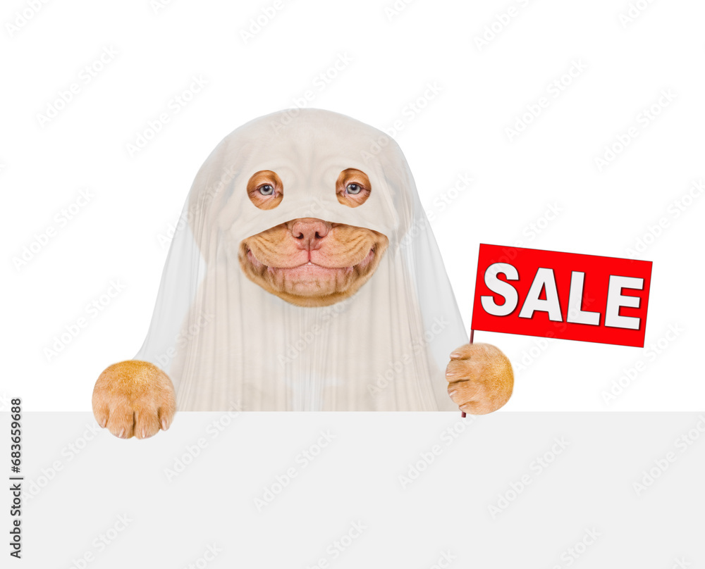 Poster smiling mastiff puppy dog celebrating halloween in ghost costume showing signboard with labeled 