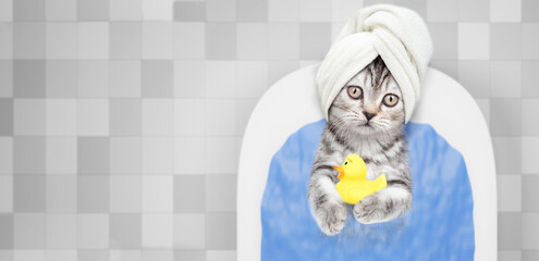 Cute kitten with towel on it head takes the bath at home with rubber duck. Top down view. Empty space for text