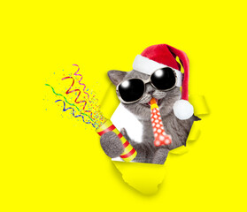 Happy cat wearing sunglasses and red santa hat holds exploding firecracker blows in party horn and looks through the hole in white paper