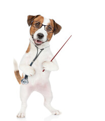 Smart jack russell terrier puppy wearing eyeglasses and with stethoscope on his neck pointing away. isolated on white background