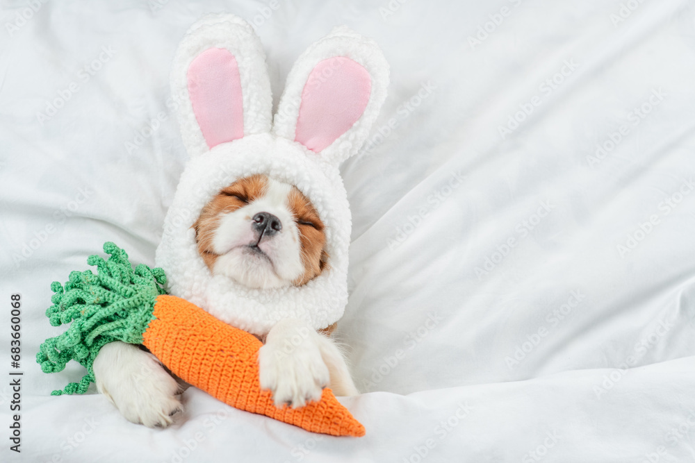 Poster cavalier king charles spaniel puppy wearing easter rabbits ears sleeps with knitted carrot on a bed 