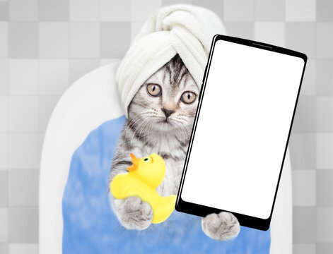 Cute kitten with towel on it head takes the bath at home and shows big smartphone with white blank screen in it paw. Top down view