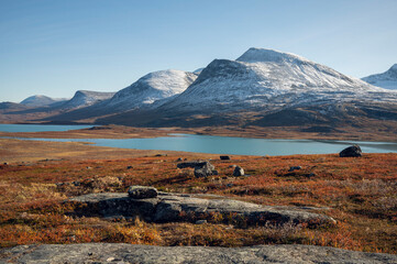 Autumn colors in the Swedish mountains on a sunny September day, Kiruna region, Swedish Lapland