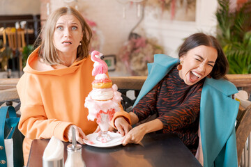 Two women cannot share dessert in form pink flamingo in cafe, they push plate