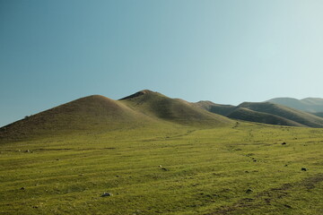 Obraz premium Grass-covered hills against a blue sky