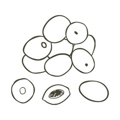 A handful of olives. Vector illustration. Hand-drawn olives on a white background.