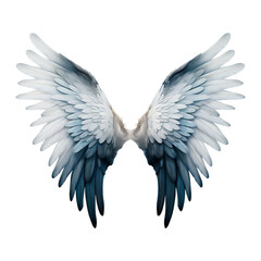 transparent angel wings In navy, gray, light blue, and white colors