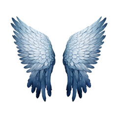 transparent angel wings In navy, gray, light blue, and white colors