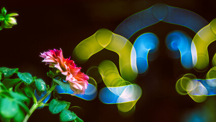  A location in Japan I always wanted to visit from the moment I saw it. Two icons of Japan, Fuji...