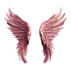 illustration of a pink angel wings isolated in the transparent background,