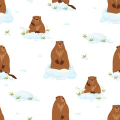 Fototapeta premium Seamless pattern with cute marmots with snow and snowdrops on white background. Vector illustration. Holiday design, decor, packaging and wallpaper for Groundhog Day February 2.